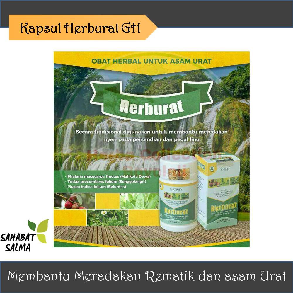 

Kapsul Herburat Herbal Untuk Asam Urat Dan Nyeri Sendi - Griya Herba