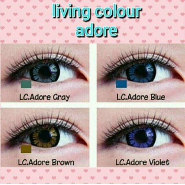 LIVING COLOR ADORE 2TONE (NORMAL ONLY)