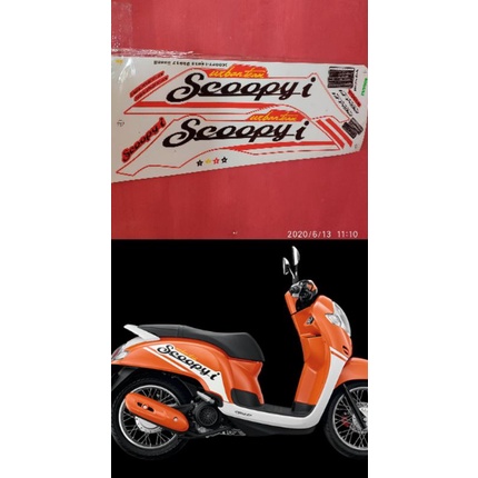 STRIPING SCOOPY THAILAND