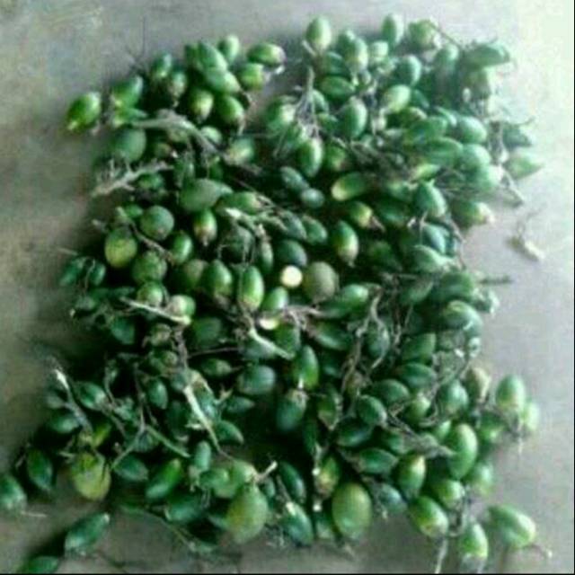 

Pinang muda herbal /buah pinang muda