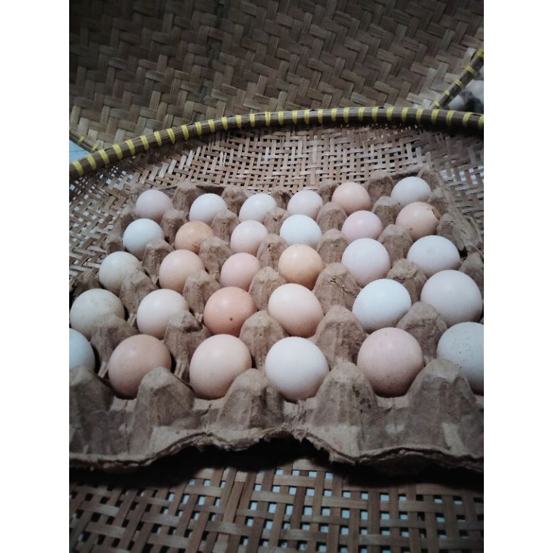 

telur ayam kampung