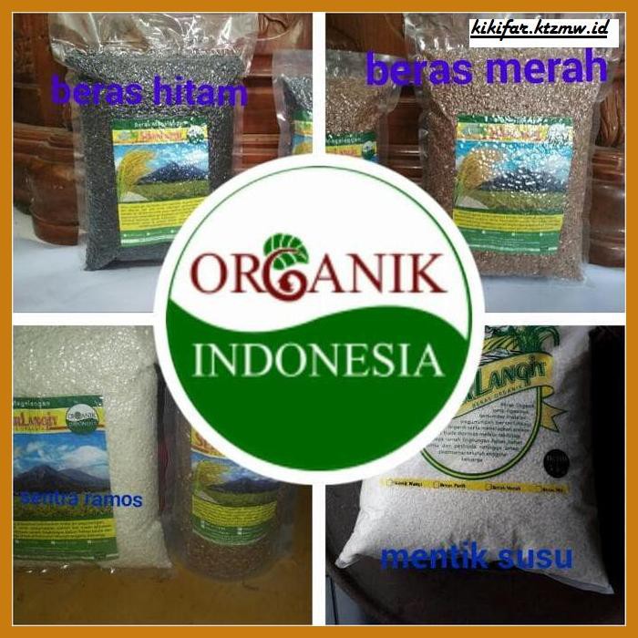 

ANEKA-BERAS- BERAS PUTIH MENTIK WANGI ORGANIK -BERAS-SEHAT.