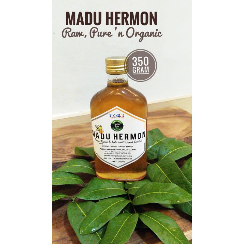 

Madu Hermon - Madu Hutan Dorsata Madu Raw, Murni dan Organik 350gr (Sertifikat P-IRT)