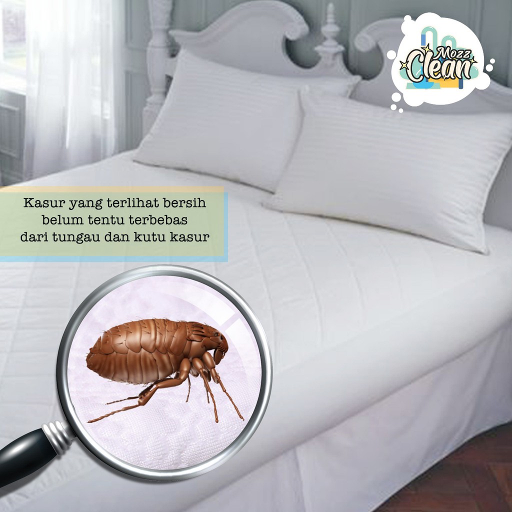 Jasa Vakum Tungau Kasur Single