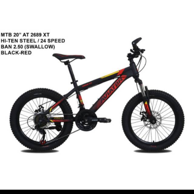 MTB Aviator 2689 XT 20inch