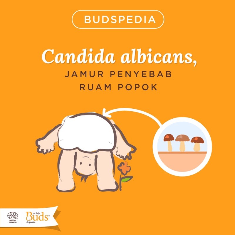 Buds Organics BCO - Baby Bum Balm 50ml - Krim Ruam Popok Organik