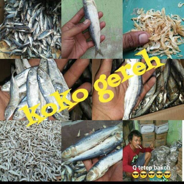 

Ikan asin/teri gundul