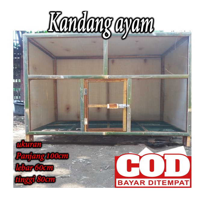 Kandang ayam kandang hewan ayam bangkok kate  dari kayu