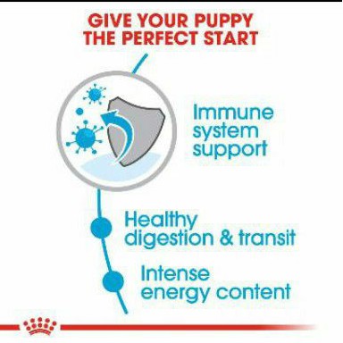 ROYAL CANIN PUPPY X - SMALL XSMALL ADULT WEIGTH UP TO 4KG 1,5kg / MAKANAN ANAK ANJING