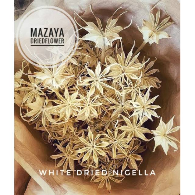 WHITE DRIED NIGELLA