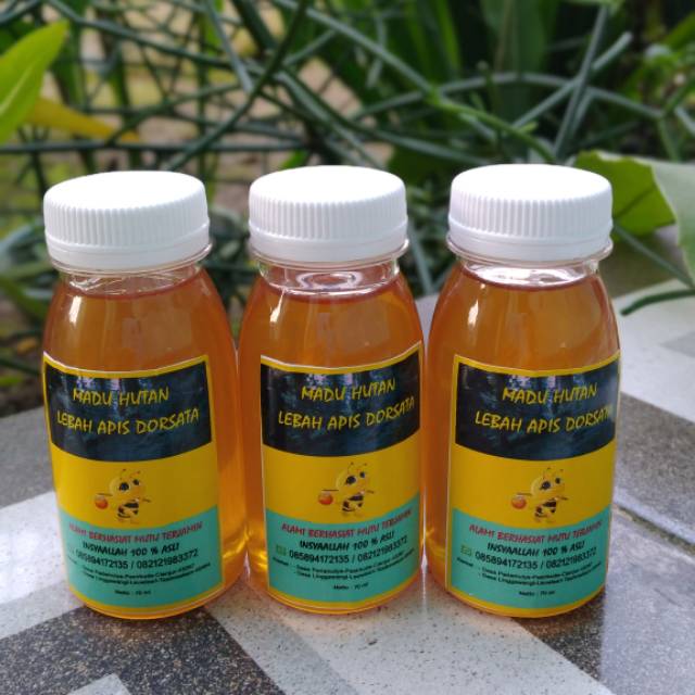 

Madu hutan asli paket hemat 3 btl kemasan 70 ml