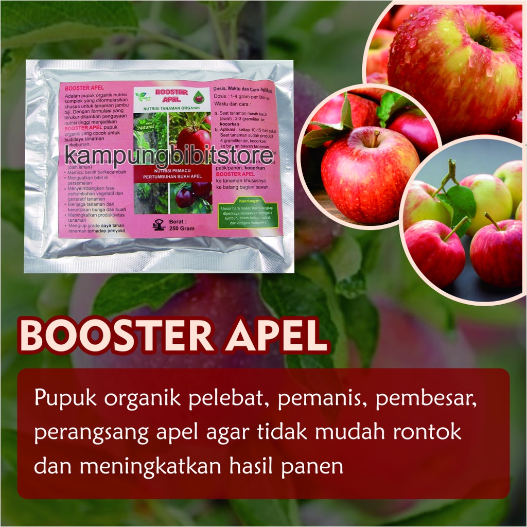 Pupuk Booster Pohon Apel, Booster Apel Agar Berbuah Lebat