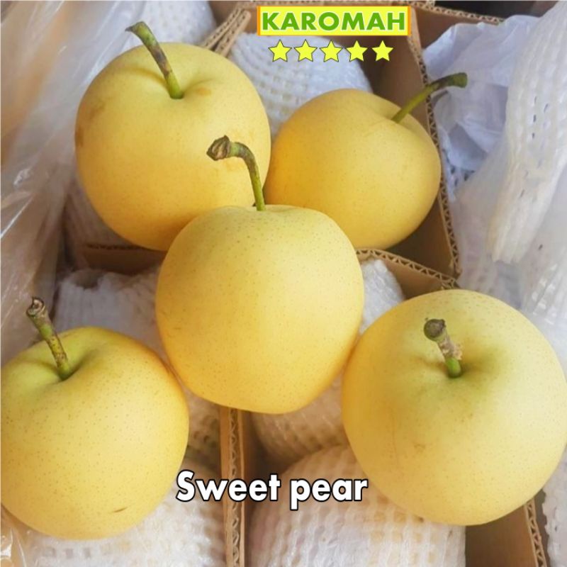 

buah pir putih madu sweet premium 1 KG / Bukan Pir yealie