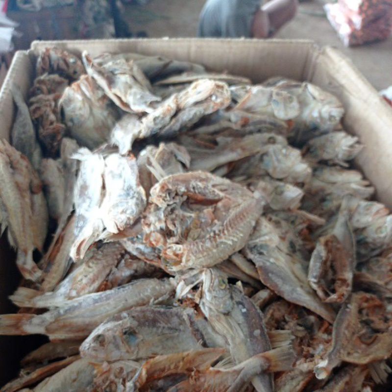 

IKAN ASIN SAMGE BELAH 1KG
