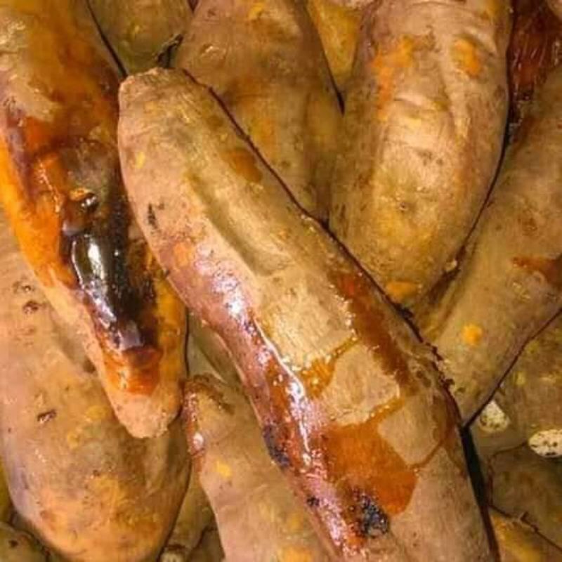 

UBI MADU CILEMBU ASLI WONOGIRI SUPER LUMER UBI SIAP OVEN 4 KG