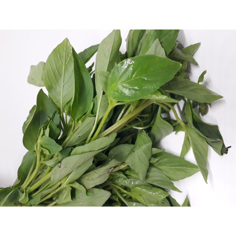 

DAUN KEMANGI 1IKAT