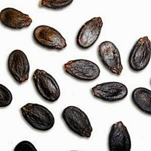 

Kwaci semangka original siap konsumsi 1KG