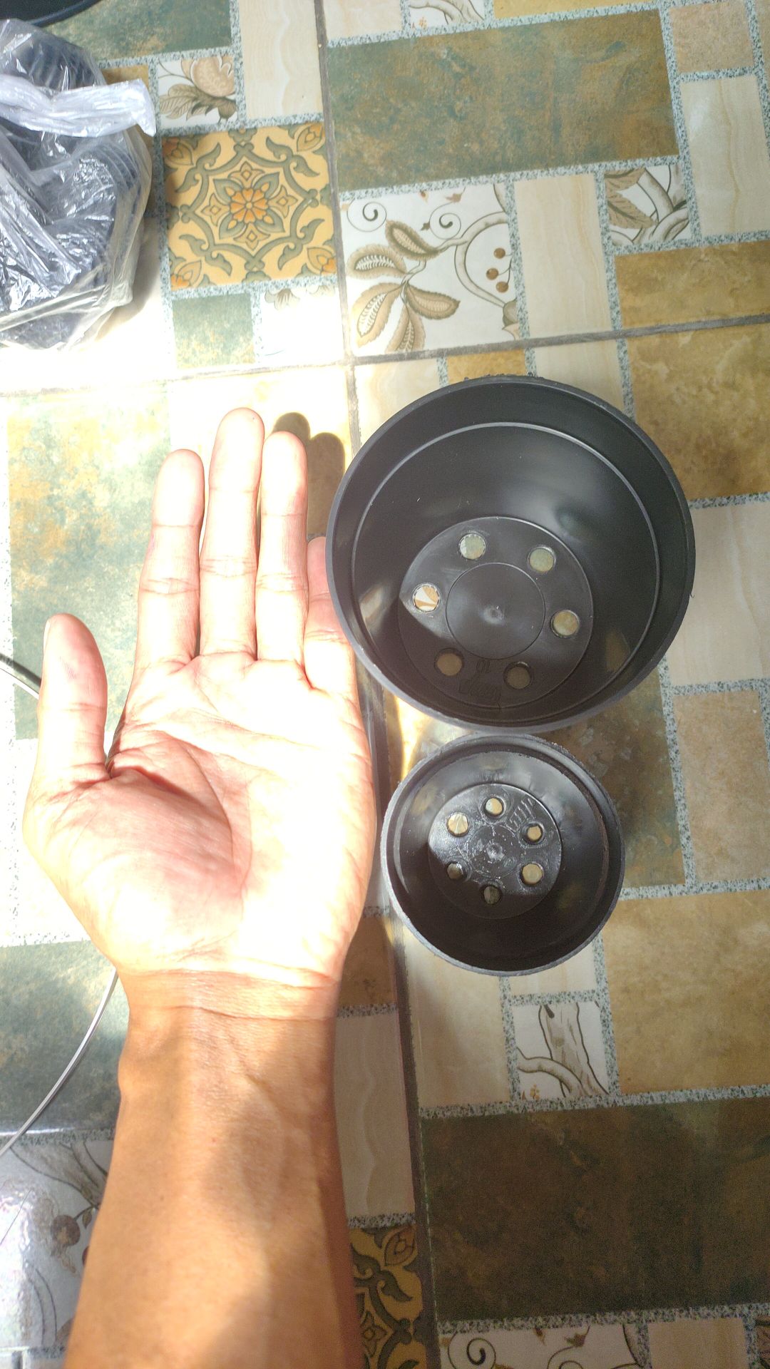 7 Cm Pot Bunga Plastik 7 Cm Pot Es Krim Plastik Baru Pot Hidroponikpot Bunga Plastik Pot Es Krim