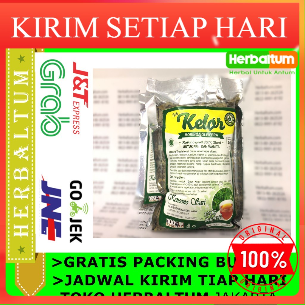 

Moringa Oleifera Kering / Daun Kelor 40gr / Herbal Diabetes Asam Urat