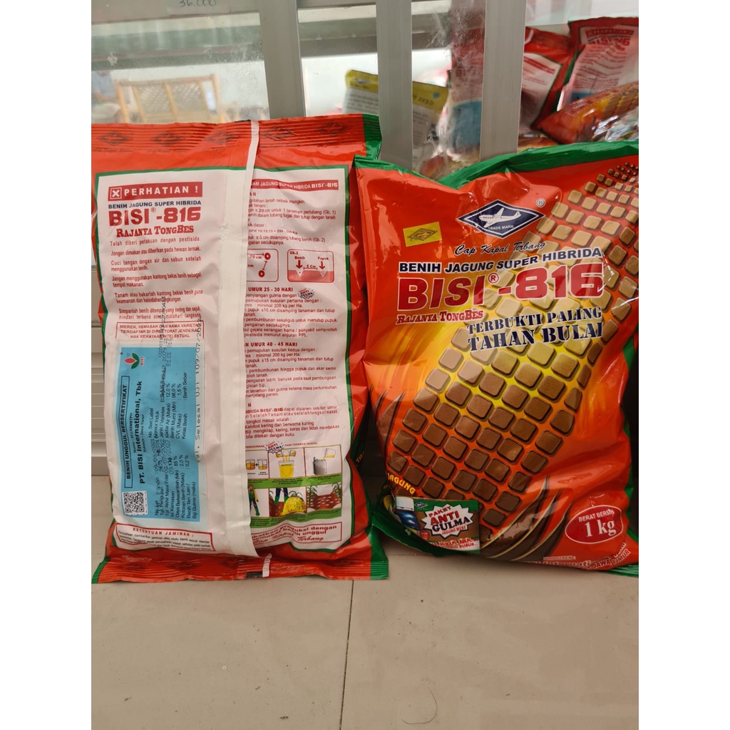 BENIH JAGUNG SUPER HIBRIDA BISI 816 1 KG