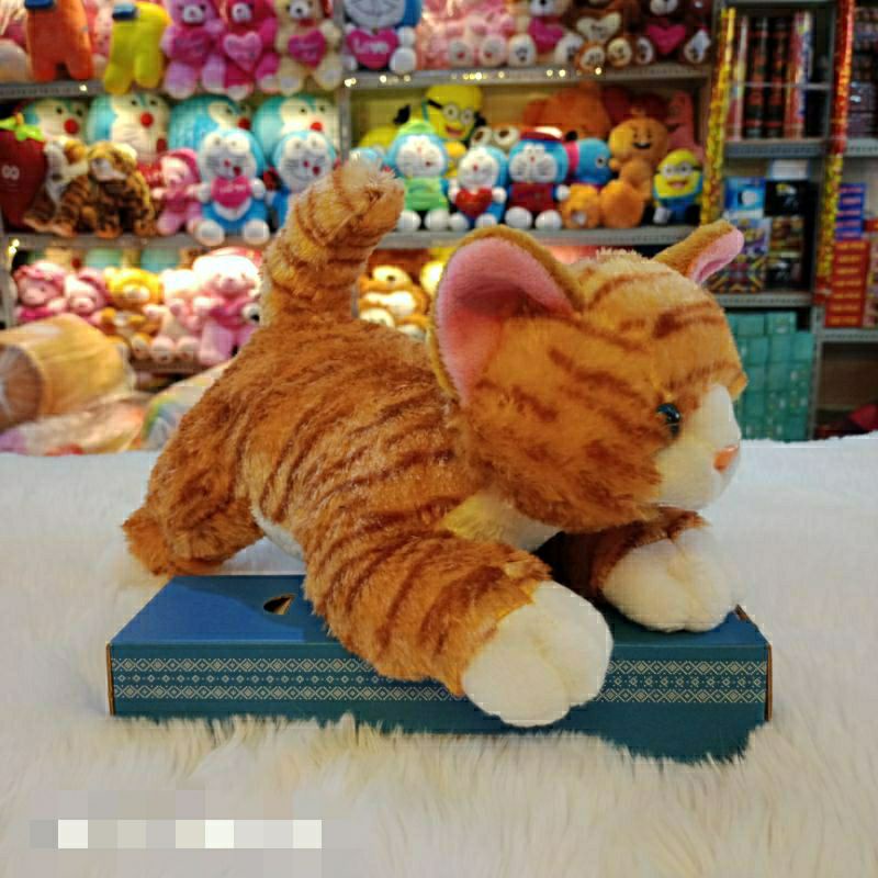 Boneka Kucing Lucu Boneka Import Plush Doll Lucu Hadiah Anak Boneka unik Boneka Kucing Unik Kado Anak Hadiah Ultah Boneka lucu