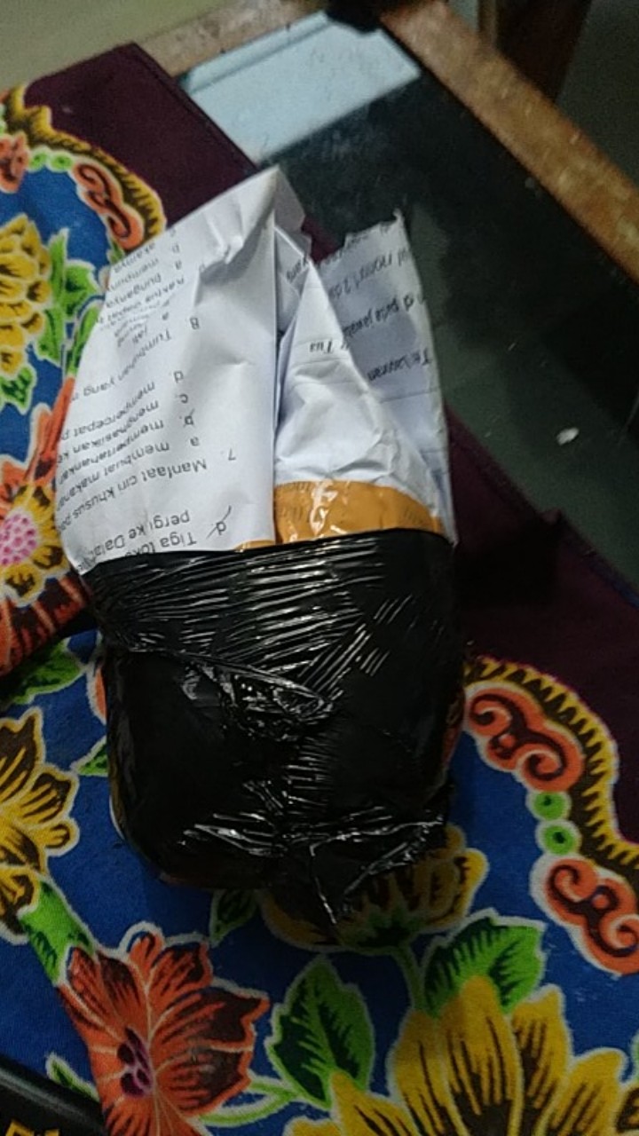 Promo!!! Bonggol Aglonema Golden Hope