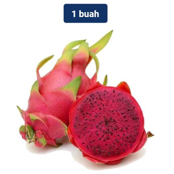 

Buah Naga 1 Buah