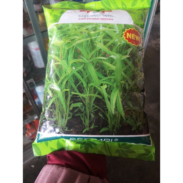 BENIH KANGKUNG SERIMPI - 1 KG