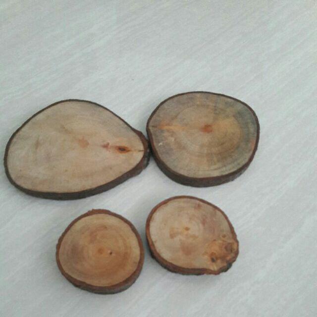 Slice Wood Potongan Kayu Untuk Dekorasi Wood Log