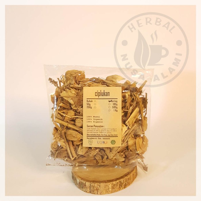 

CIPLUKAN CEPLUKAN KERING | PREMIUM | Physalis Angulata 100g