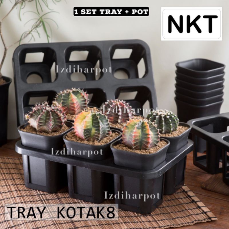 1 set Tray + pot bunga tanaman nkt kotak 8 cm | tray semai bibit