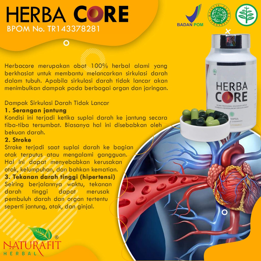 

obat herbal atasi jantung-Stroke-Tekanan darah tinggi penyebab sirkulasi darah tidak lancar/Obat herbal atasi tanpa operasi/Obat herbal asli/obat herbal tanpa bahan kimia/obat herbal bpom/obat herbal langsung pabrik