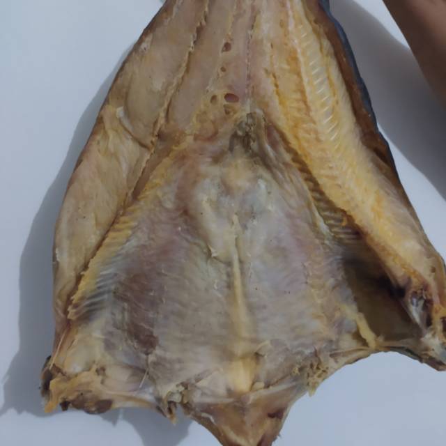 

Ikan asin jambal super ( asli pangandaran )