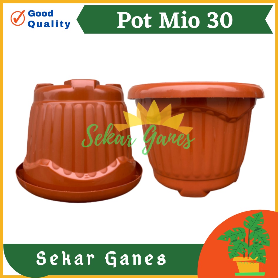 PROMO Pot Shallom Mio 30 Merah BataTerracota Terracotta Merah Coklat Pot Bunga Plastik Tebal Murah Besar Kuat Motif Model Belimbing 30 cm Putih Hitam Selusin Lusinan Tebal - SHALLOM MIO 30 pot bunga bulat besar tebal murah