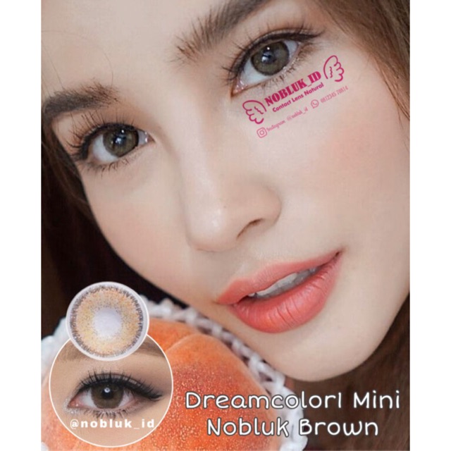 NOBLUKID -  MINI NOBLUK BROWN SOFTLENS ORIGINAL
