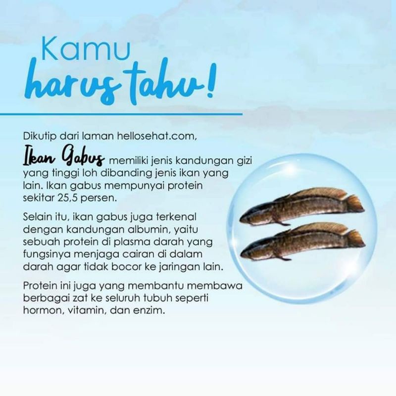 

Gomilku Sr12 seribu manfaat