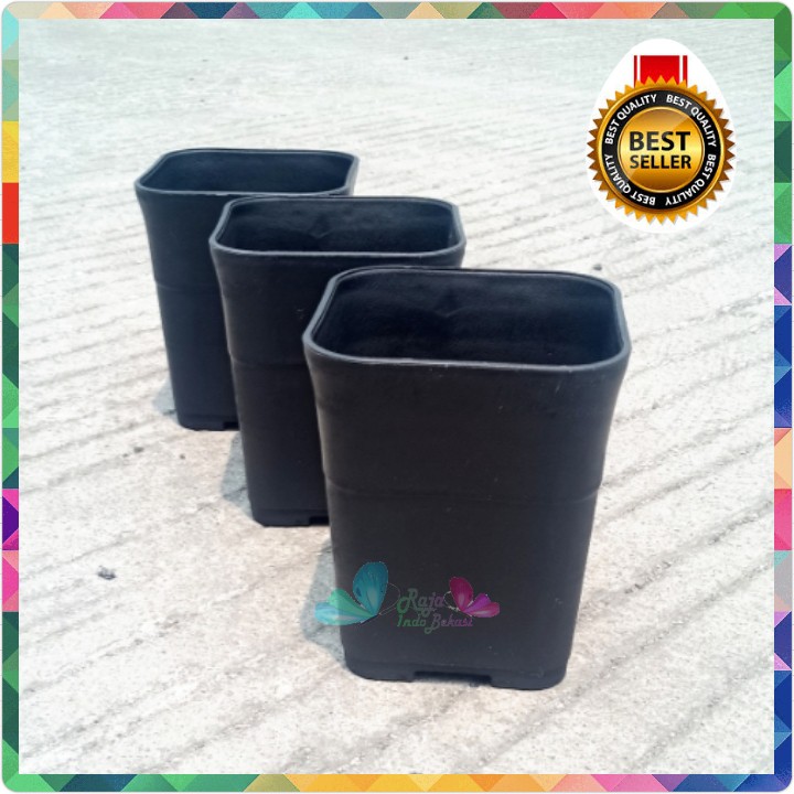 Pot Kotak Hitam 8cm / Pot Kotak Batik Tebal Hitam Mini Bukan Juoss 88 Nkt Juoss Hitam Bunga Sekulen