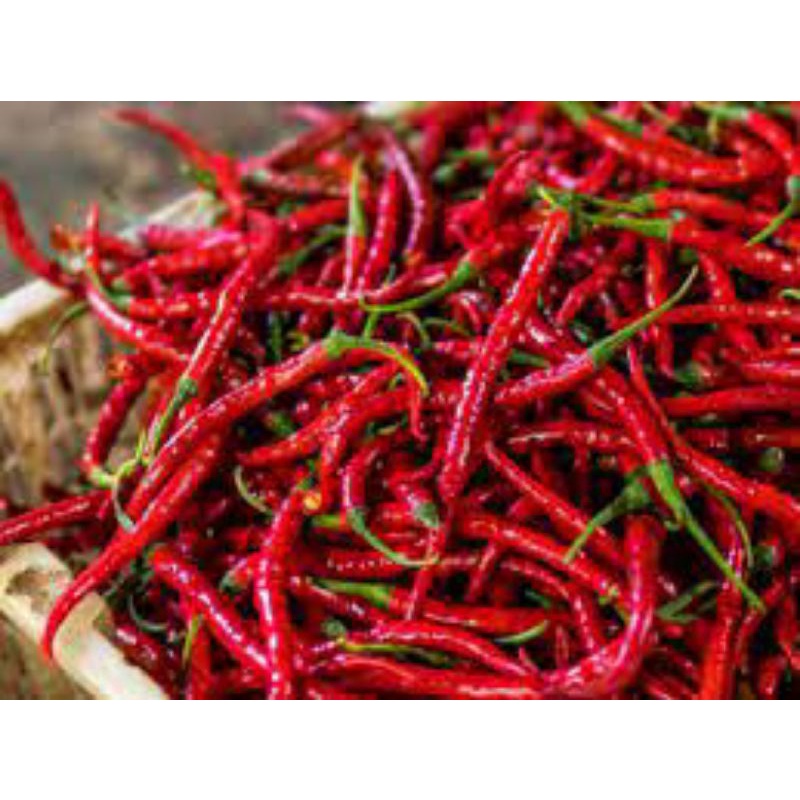 

Cabe Merah Keriting - 125 gram