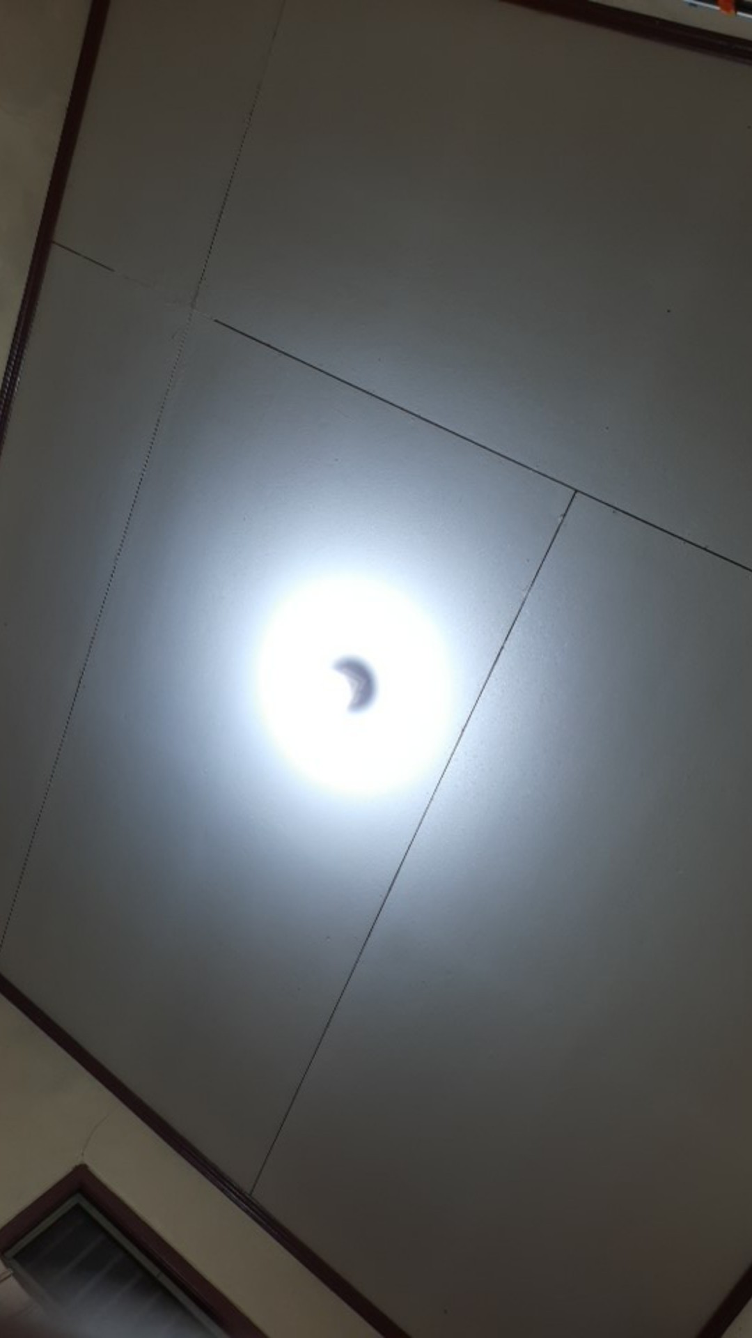 Teko Listrik Maspion Electric Kettle 24cm Mg-5824 (00112.00037)