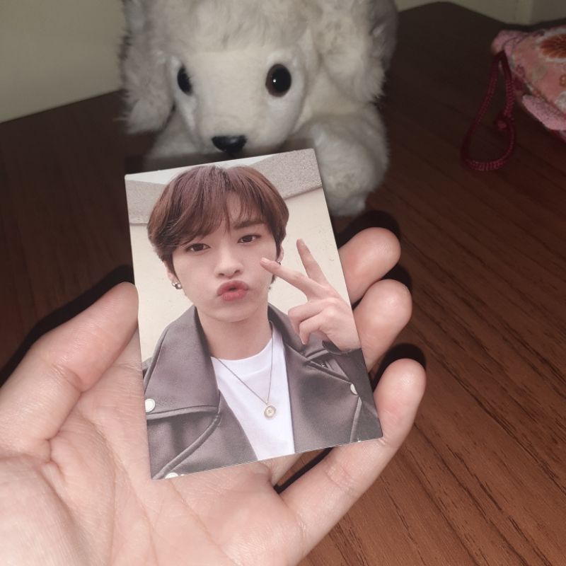 Photocard Lee Know DS Go Live (Booked)