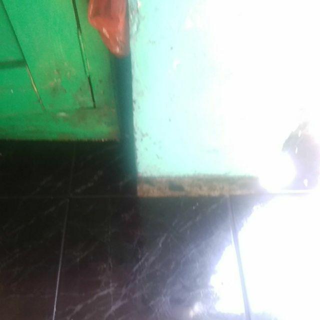 Couple Arumi Rnb Ori Paling D Cari