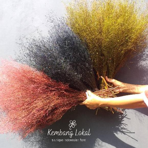 

PROMO 1.1 Ranting Ceker Ayam - Bunga Kering Kembang Lokal
