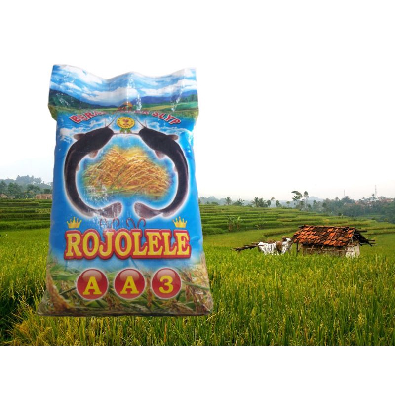 

BERAS ROJOLELE AA3 5KG