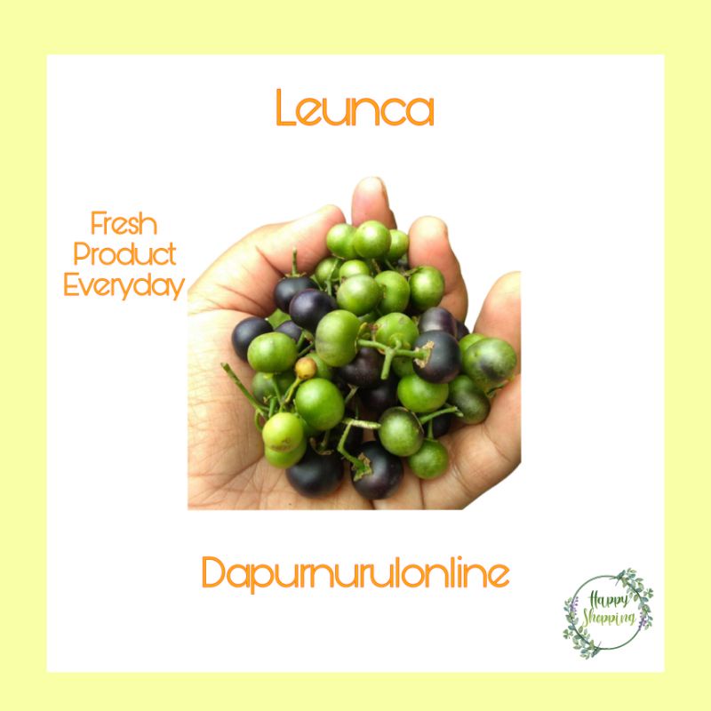 

Leunca segar 250gr - 1 kg