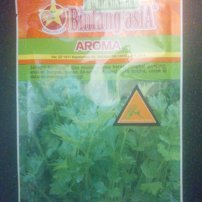 Jual Bintang Asia Benih Seledri Aroma 20 Gram Limited