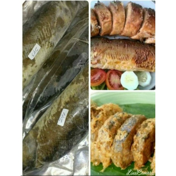 

Otak otak bandeng