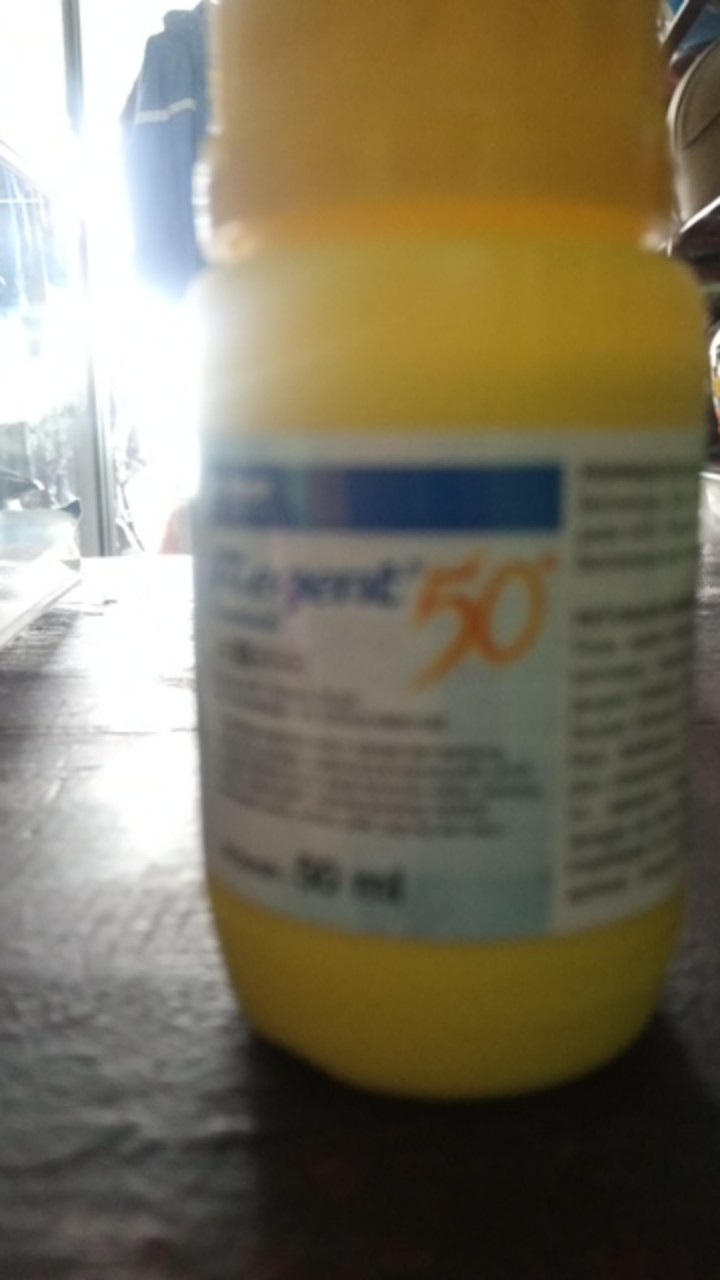 Regent Isi 50 Ml Anti Serangga