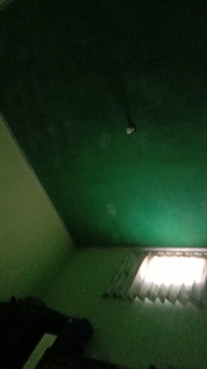 Stroping Kulit Dua Sisi, Pengasah Pisau, Asahan Kulit Sapi, Stroping Kulit Sapi