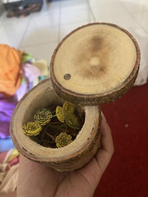 Kotak Cincin Ring Box Rustic Ranting Kayu Branch Wood