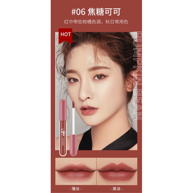 Lameila Lip Glaze Matte Lipstick Anti Air Lipstik Velvet Lip Gloss DJ 1041